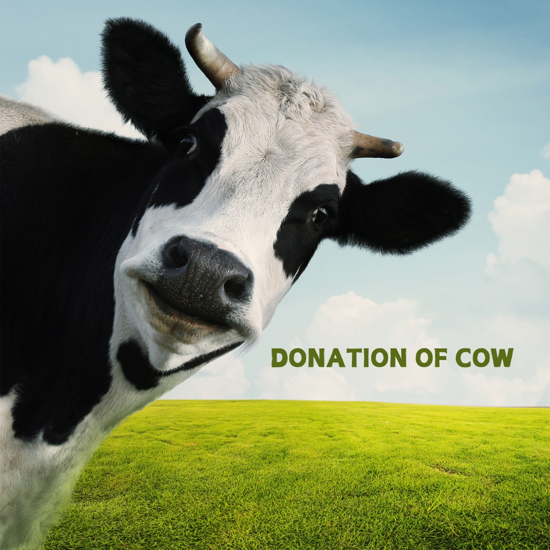 Donation Of Cow